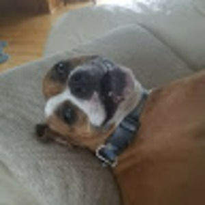 Meet your Posher, James